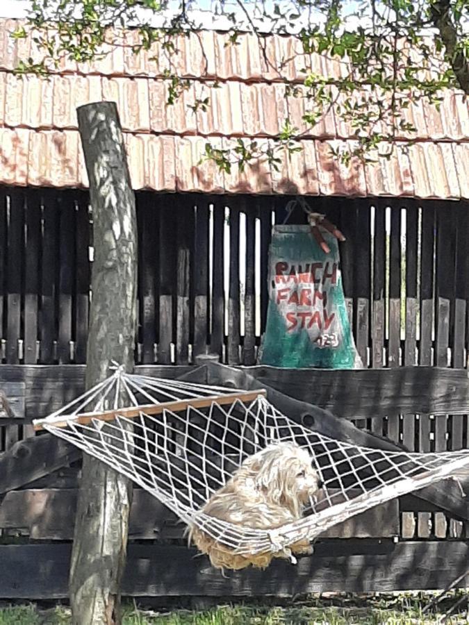 Ranch Farm Stay 拉科维察 外观 照片